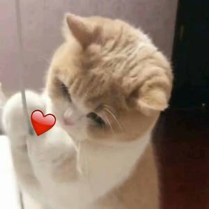 海南裸休美女撒尿露脸视频
